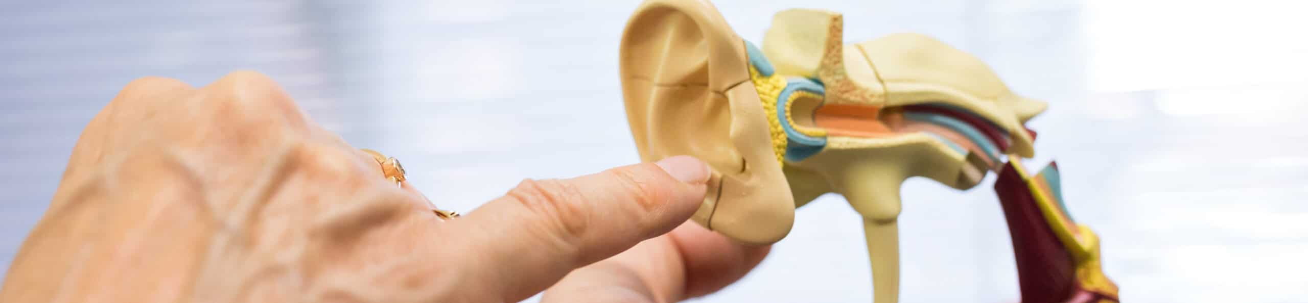 Misophonia Treatment - Specialist Audiologists | DWM Audiology
